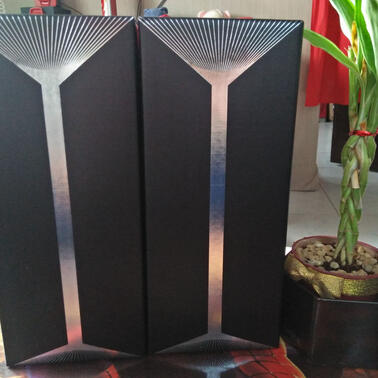 Official BTS Lightstick
